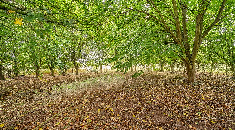 Bilsthorpe NOTTINGHAMSHIRE