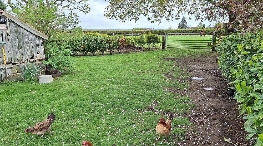 Mareham-le-Fen LINCOLNSHIRE