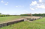 Lutton Marsh LINCOLNSHIRE