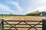 Lutton Marsh LINCOLNSHIRE