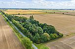 Pointon Fen LINCOLNSHIRE