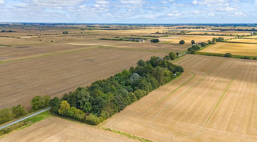 Pointon Fen LINCOLNSHIRE