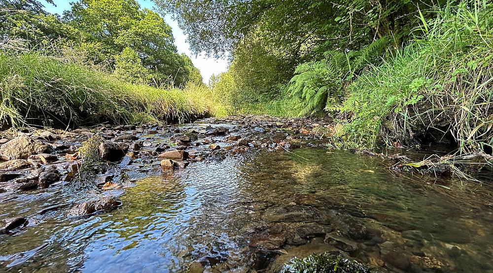 Talley CARMARTHENSHIRE