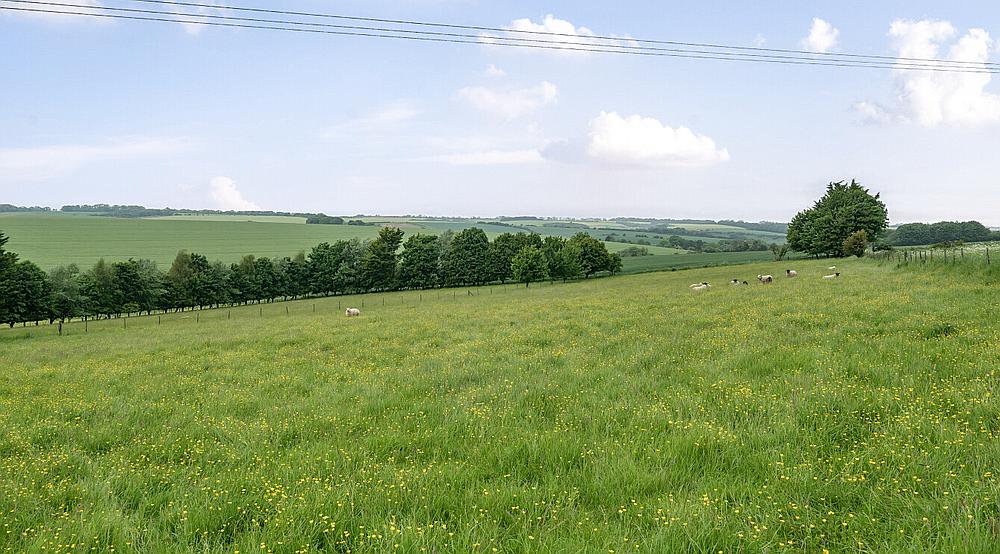 Bowerchalke WILTSHIRE