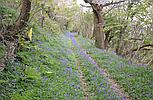 Llandysul CEREDIGION