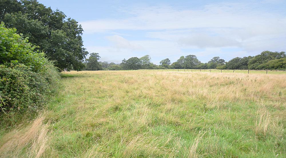 Hermitage DORSET