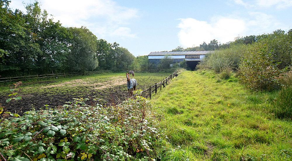 Llandybie CARMARTHENSHIRE