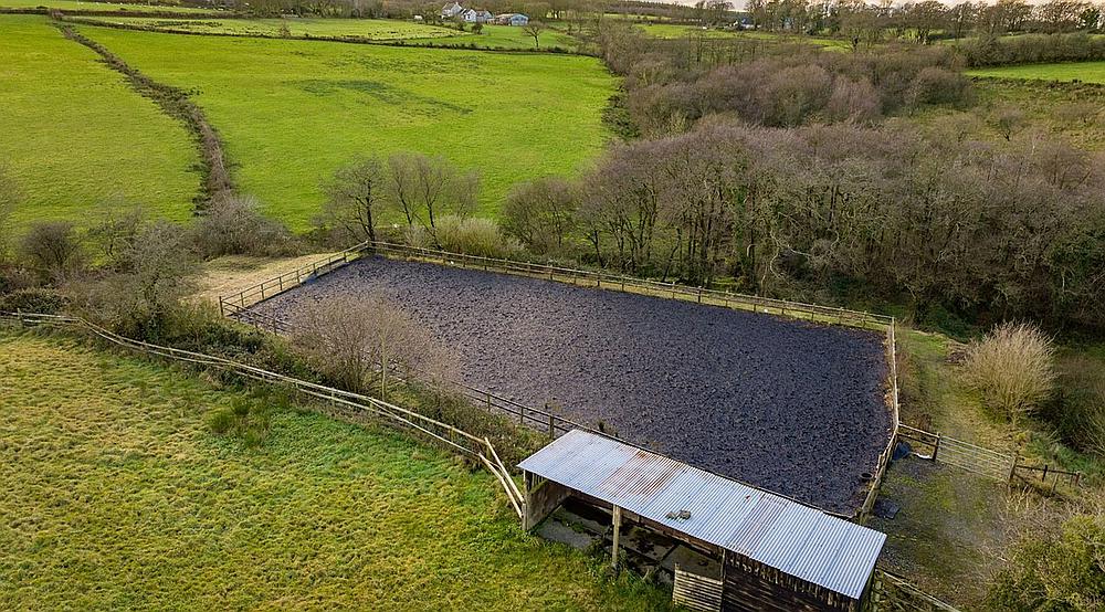 Dihewyd CEREDIGION