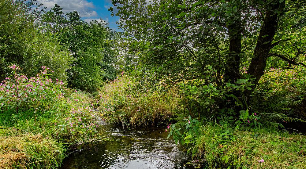 Rhydargaeau CARMARTHENSHIRE