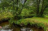 Rhydargaeau CARMARTHENSHIRE