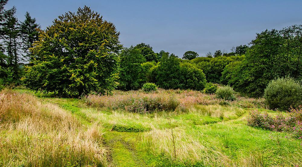 Rhydargaeau CARMARTHENSHIRE