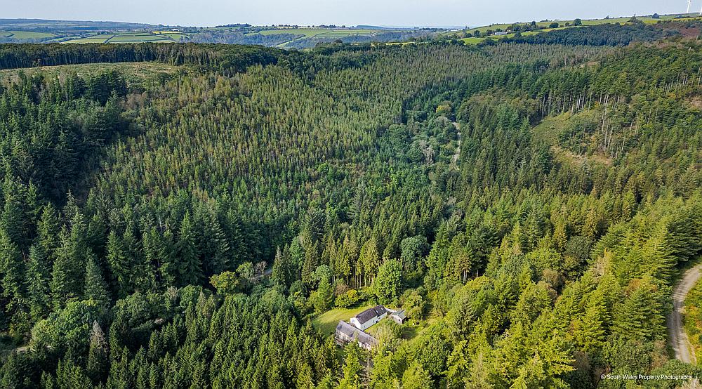 Brechfa Forest CARMARTHENSHIRE