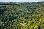 Brechfa Forest CARMARTHENSHIRE