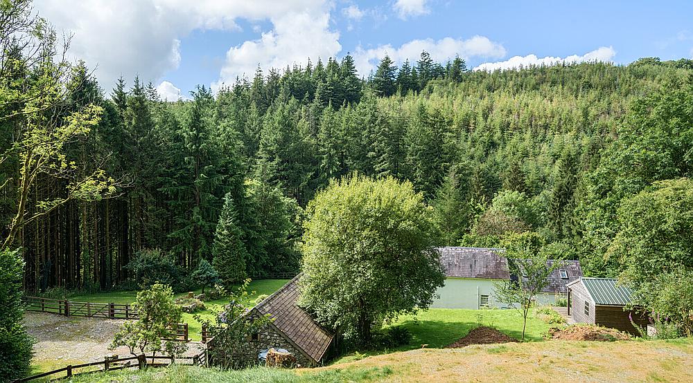 Brechfa Forest CARMARTHENSHIRE