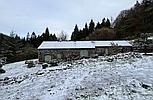 Brechfa Forest CARMARTHENSHIRE